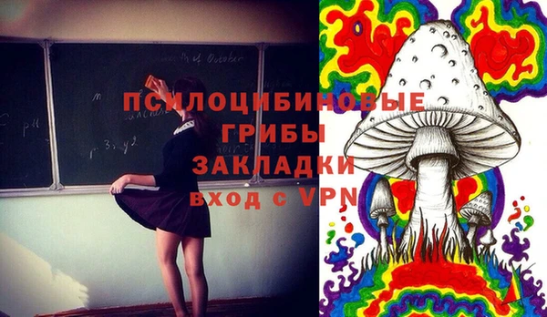 ГАЛЛЮЦИНОГЕННЫЕ ГРИБЫ Осташков