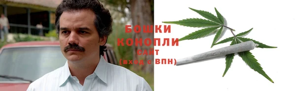 гидра Осинники