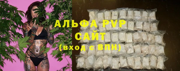 гидра Осинники