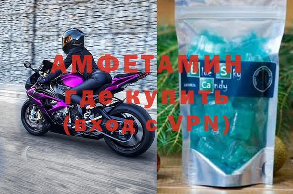 ПСИЛОЦИБИНОВЫЕ ГРИБЫ Болотное