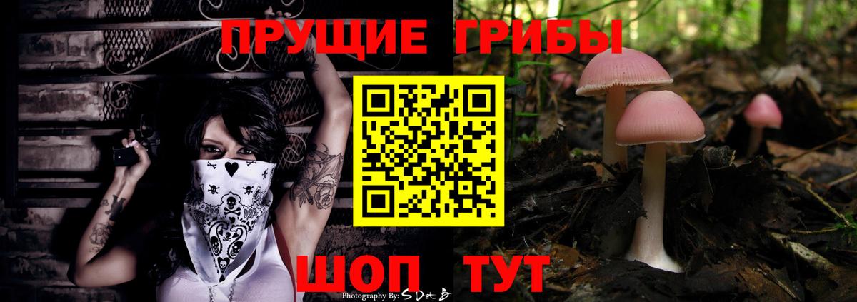 Галлюциногенные грибы ЛСД  Вход с VPN  Галлюциногенные грибы Psilocybine cubensis  Апшеронск 